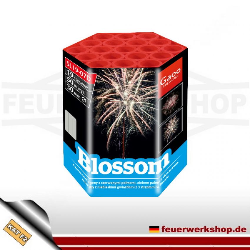 Blossom Feuerwerksbatterie von Gaoo