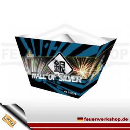 *Wall of Silver* Batteriefeuerwerk von Evolution