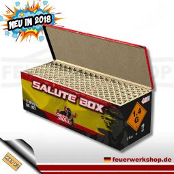 Knallbatterien Set (3er VE) *DECIBULL Salute Box* von Vuurwerktotaal