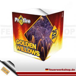 Evolution Feuerwerk Batterie *Golden Willows*