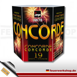 Batteriefeuerwerk von Jorge *Concorde*